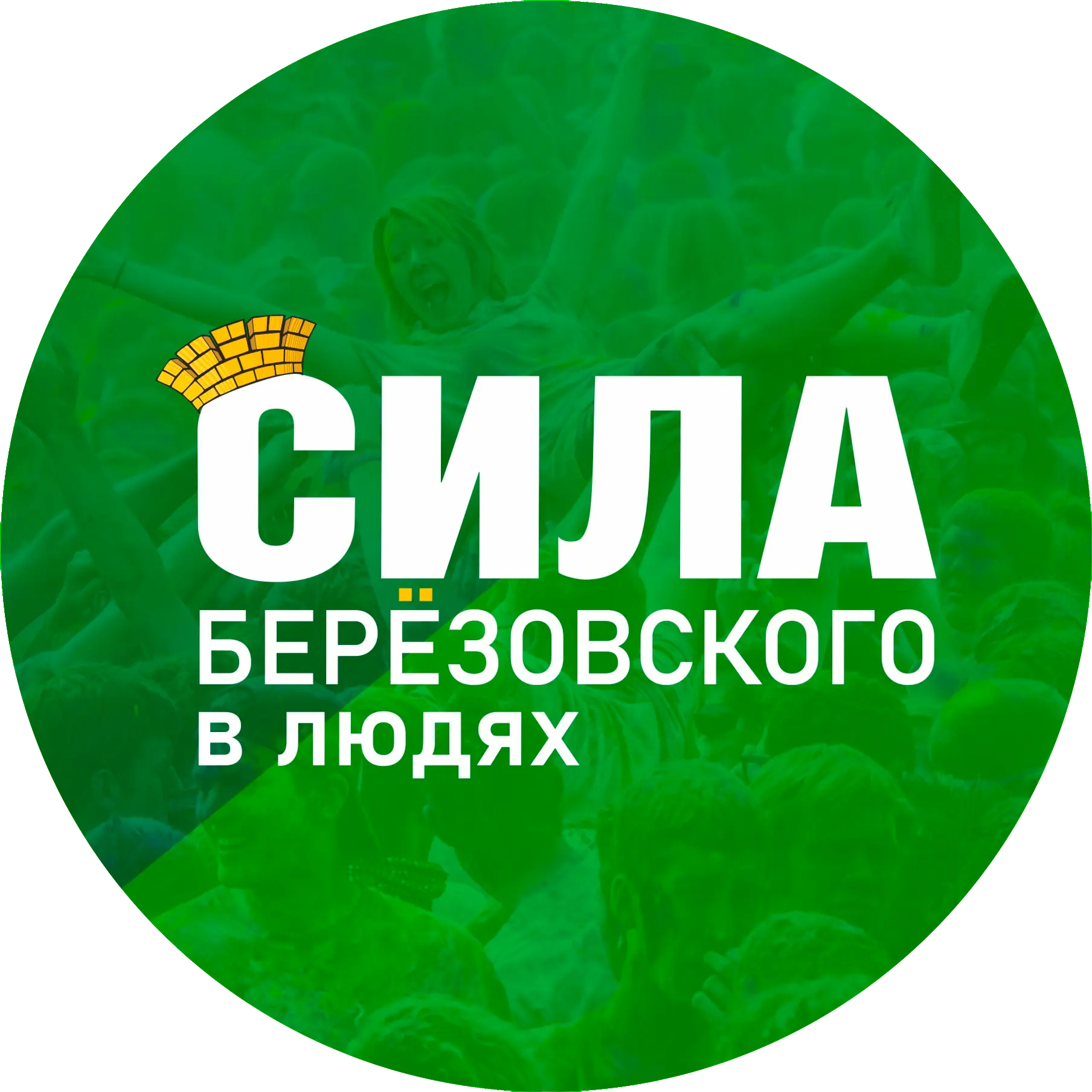 Логотип клиента